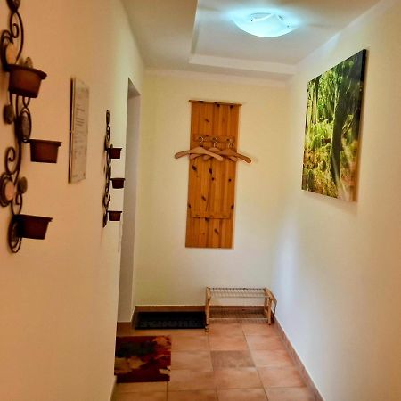 Ferienwohnung Im Landhaus Am Nationalpark Ludwigsthal Kültér fotó