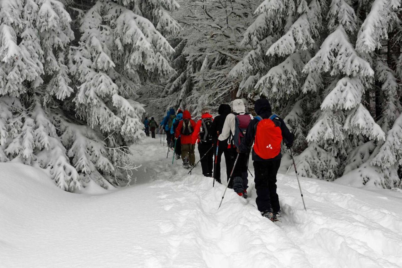 Ferienwohnung Im Landhaus Am Nationalpark Ludwigsthal Kültér fotó