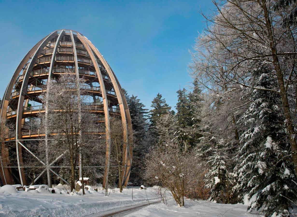 Ferienwohnung Im Landhaus Am Nationalpark Ludwigsthal Kültér fotó
