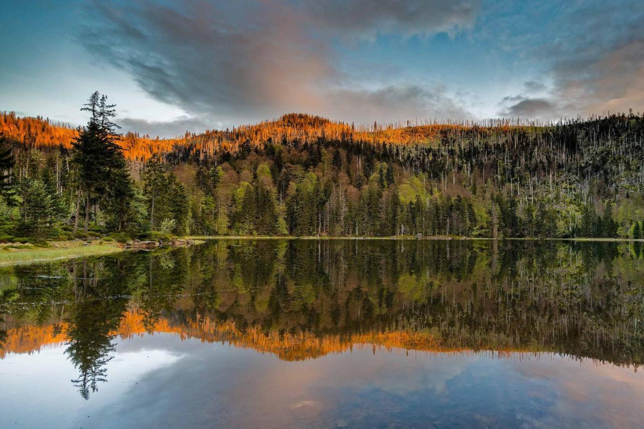 Ferienwohnung Im Landhaus Am Nationalpark Ludwigsthal Kültér fotó