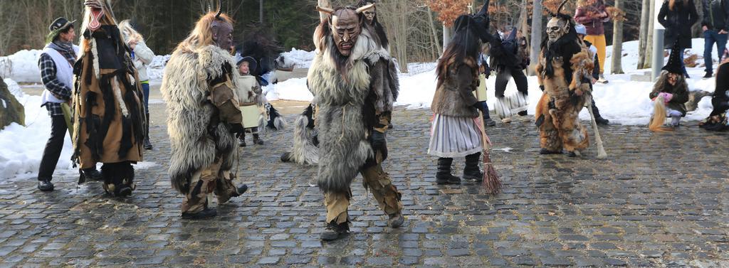 Ferienwohnung Im Landhaus Am Nationalpark Ludwigsthal Kültér fotó